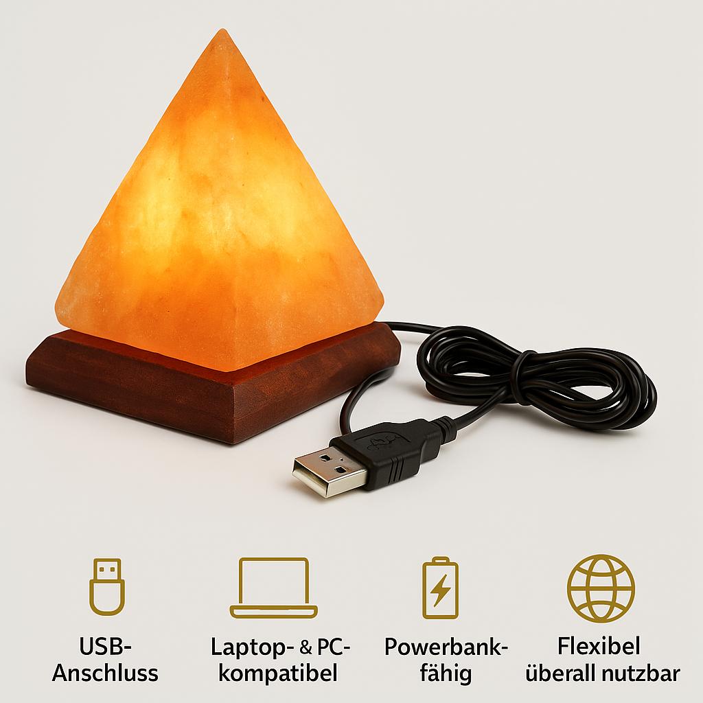 Himalaya Salzlampe - Handgefertigtes Wohlfühllicht mit LED